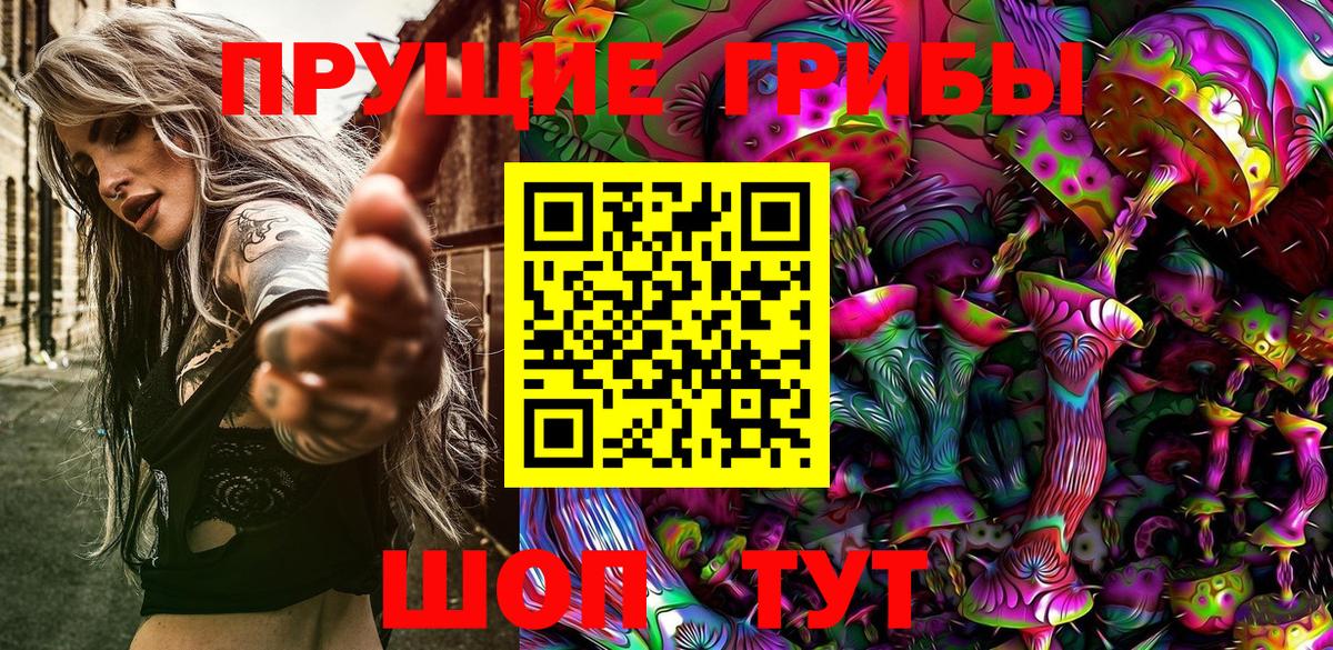 Галлюциногенные грибы Cubensis  Псилоцибиновые грибы Cubensis  Вход с VPN  Баксан 