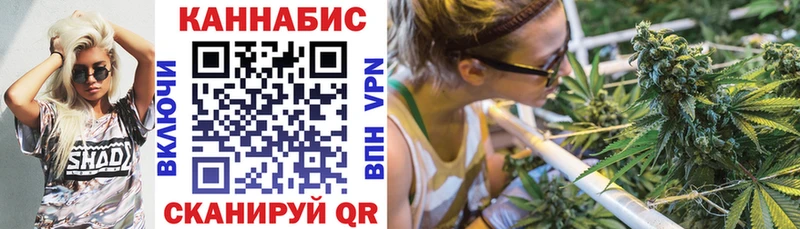 Бошки марихуана индика Баксан
