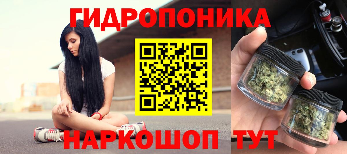 Бошки марихуана MAZAR  Конопля сатива  Вход с VPN  Баксан 